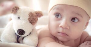 Day Care Center Near Me hoboken step by step